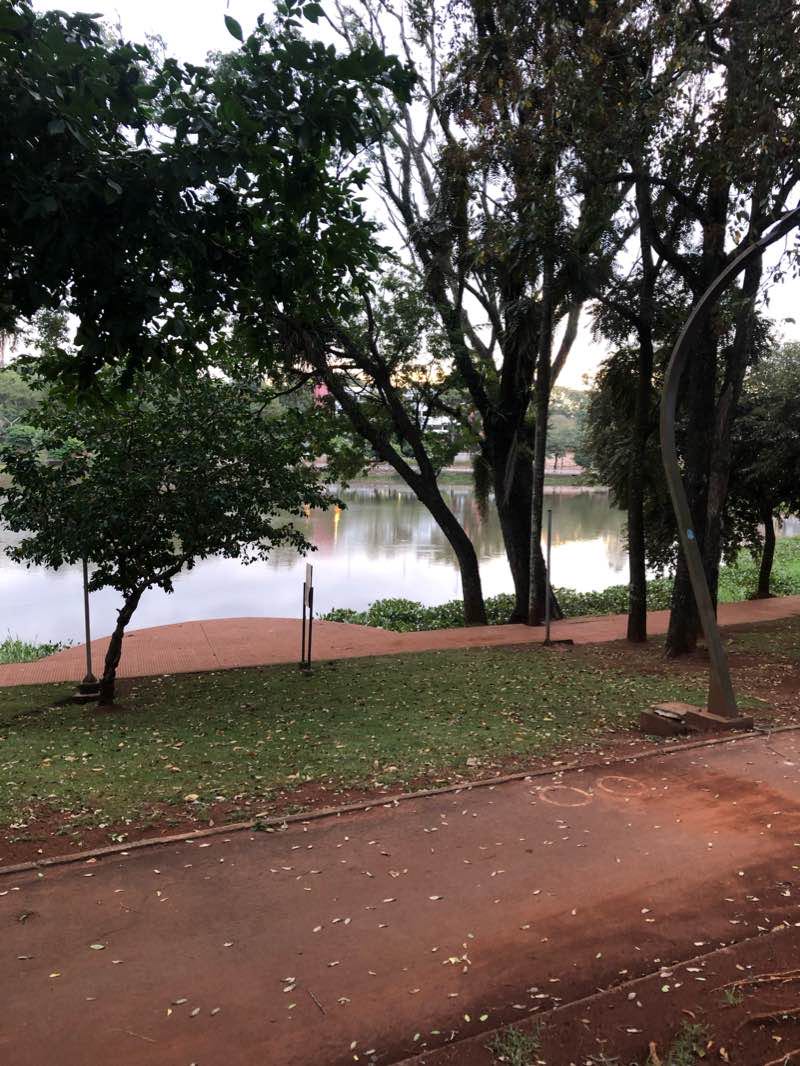 walking near me in Plaza de la Polca Paraguaya in summer