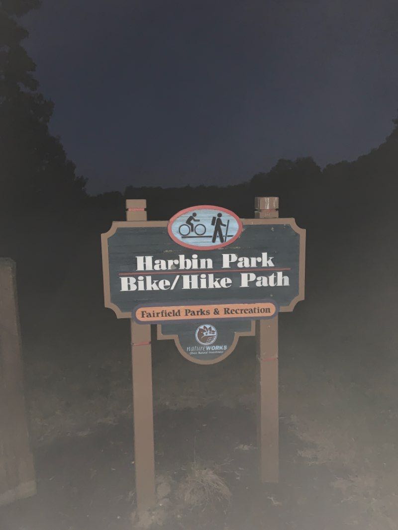 walking near me in William Harbin Park in winter