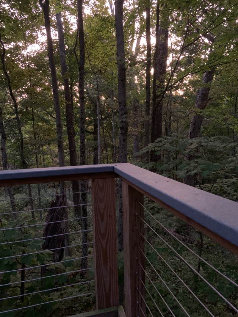 walking near me in Glenwood Gardens in winter