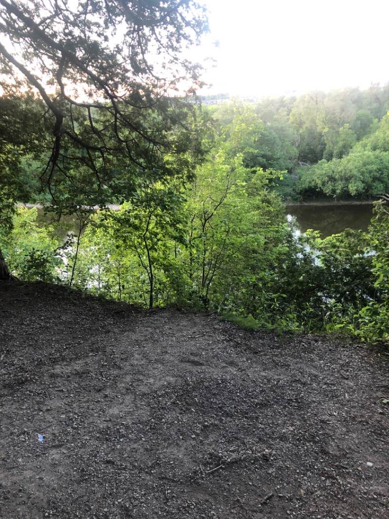 walking near me in McLennan Park in winter