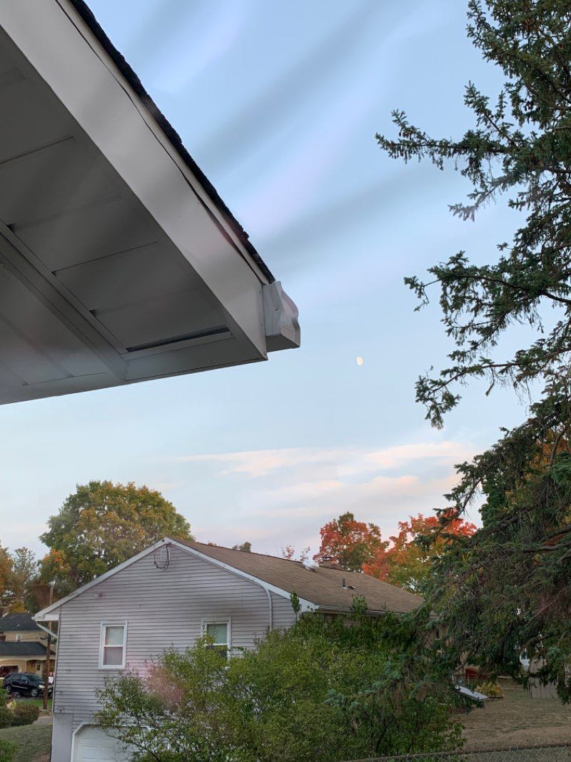 walking near me in Veteran's Memorial Park in winter