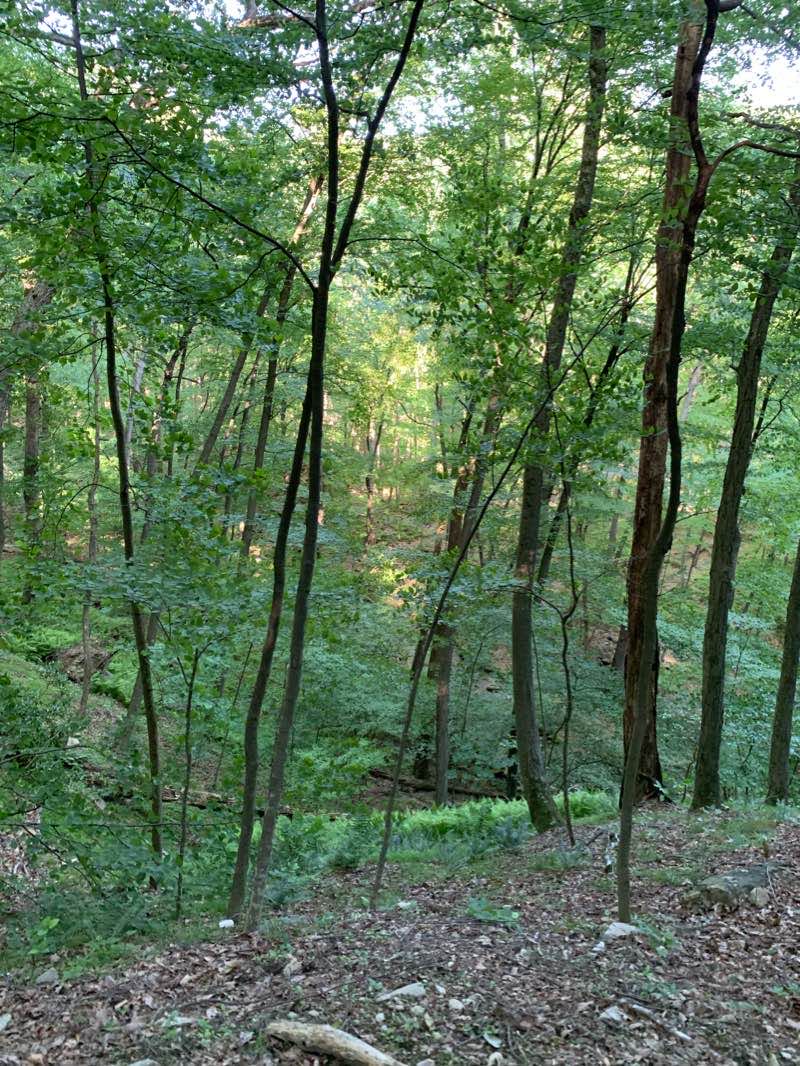 walking near me in Frederick City Watershed in winter
