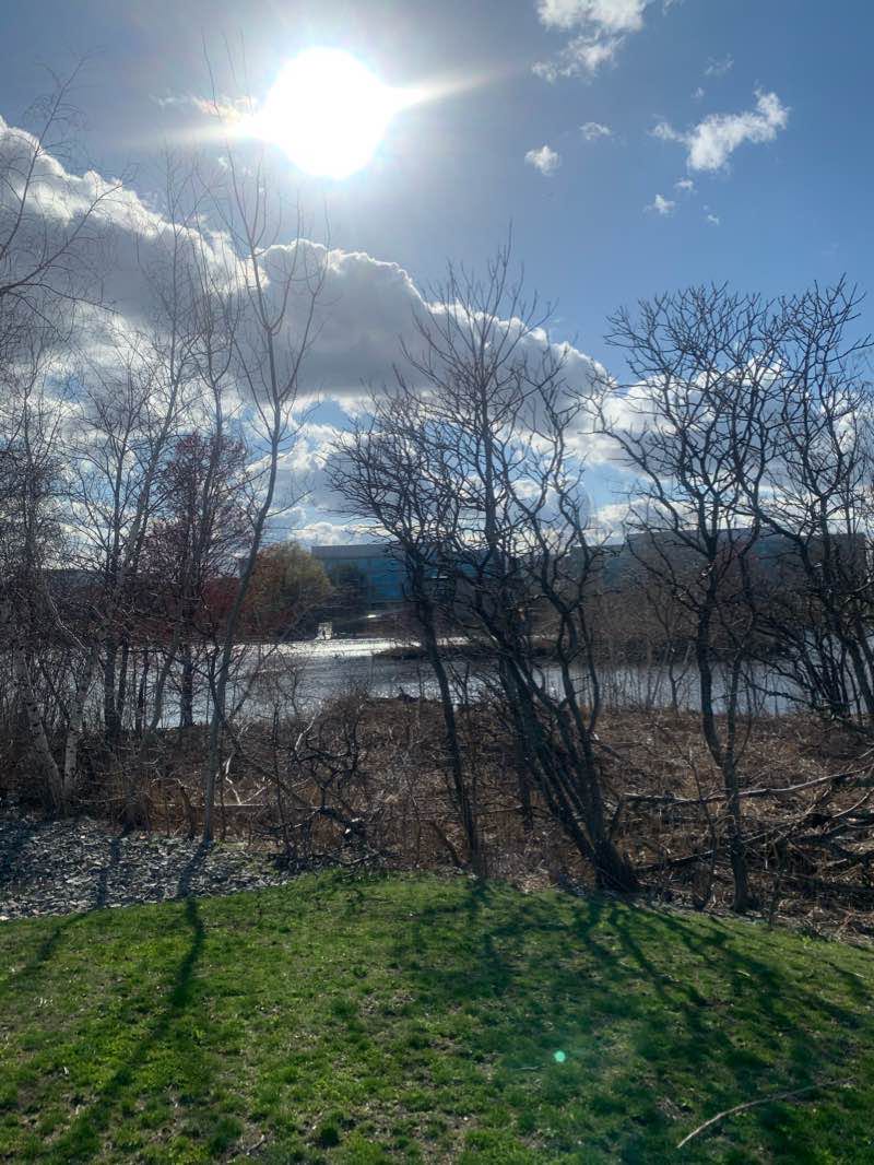 walking near me in Rivergreen Park in winter