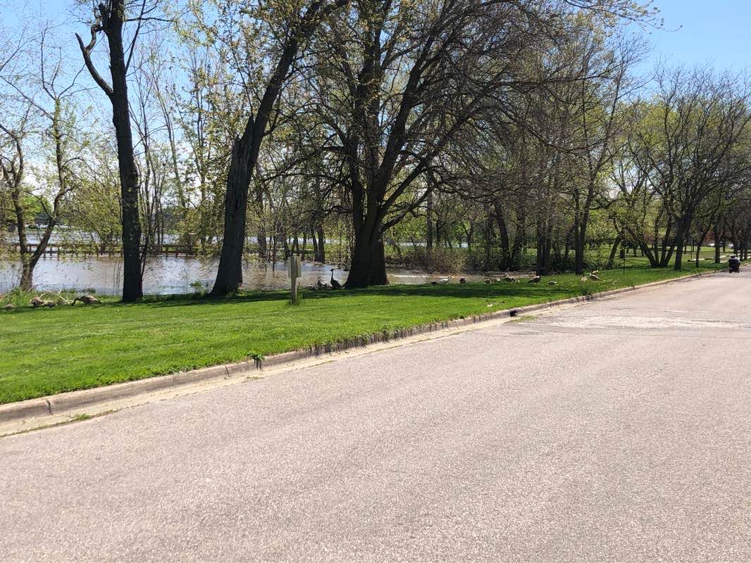 walking near me in Ted Putz Nature Area in winter