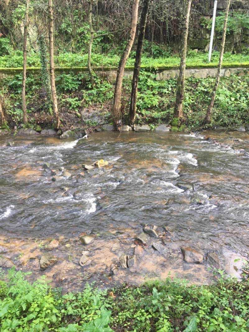 walking near me in Parque Homenaxe aos labregos in winter