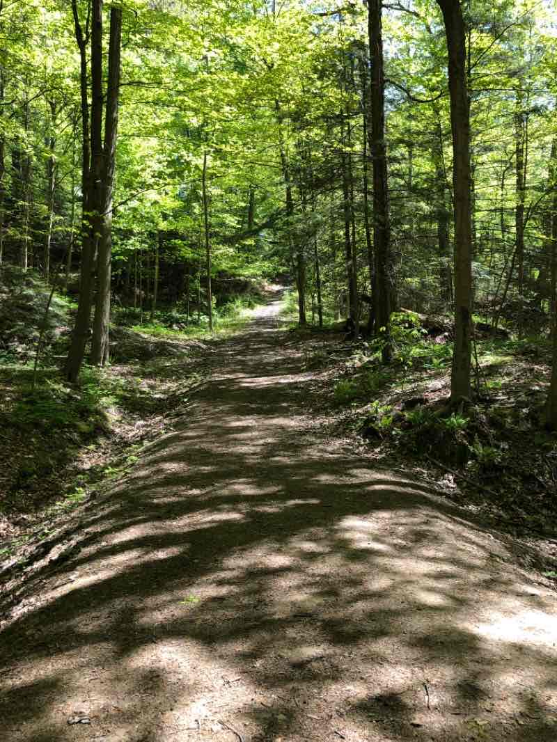 walking near me in Lake Erie Community Park in winter