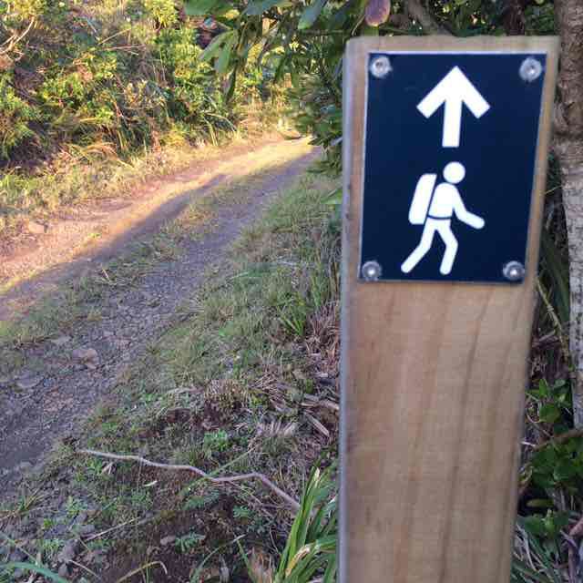 VeeVeeNZ 🥑🐕🇹🇰🇳🇿🏃🏽‍♀️ post 2