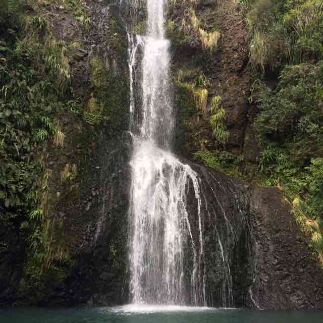 VeeVeeNZ 🥑🐕🇹🇰🇳🇿🏃🏽‍♀️ post 2
