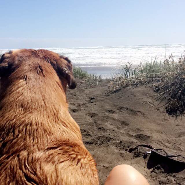 VeeVeeNZ 🥑🐕🇹🇰🇳🇿🏃🏽‍♀️ post 3