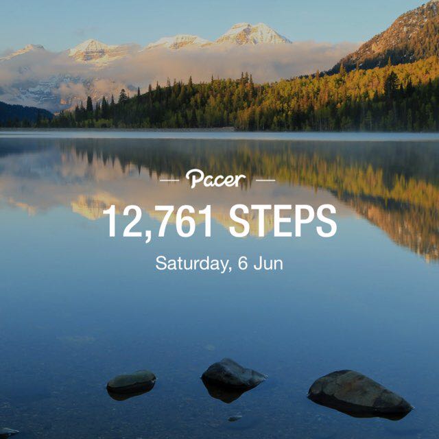 VeeVeeNZ 🥑🐕🇹🇰🇳🇿🏃🏽‍♀️ post 1