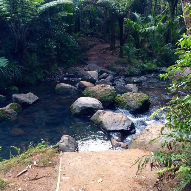 VeeVeeNZ 🥑🐕🇹🇰🇳🇿🏃🏽‍♀️ post 3