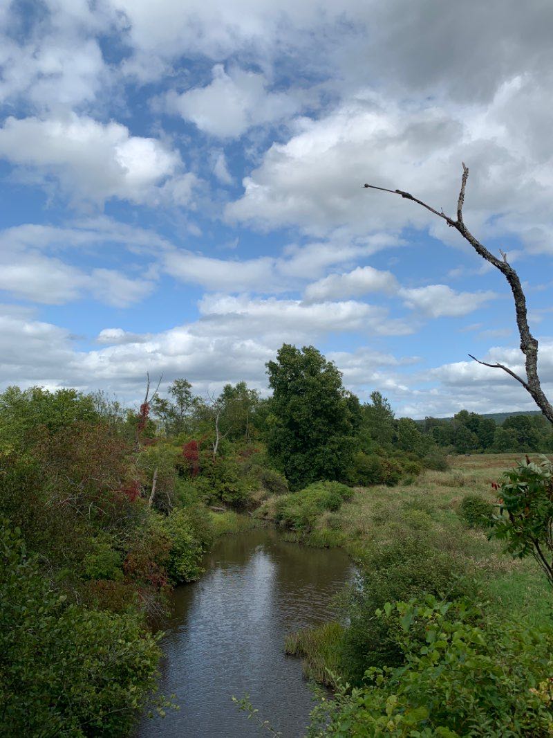 walking near me in Water Supply Land in winter