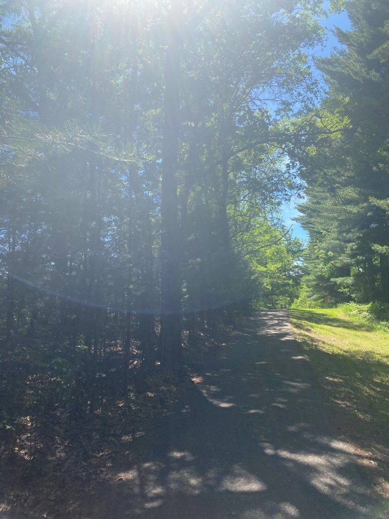 walking near me in Hartman Creek State Park in winter