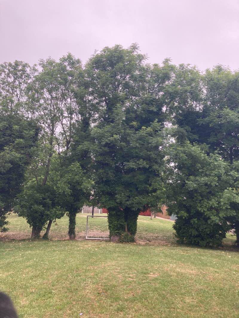 walking near me in Cedar Green in winter