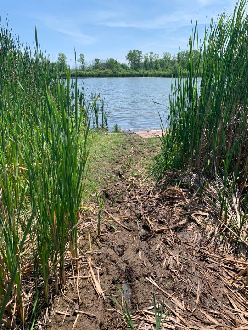 walking near me in Grobschmidt Park in winter