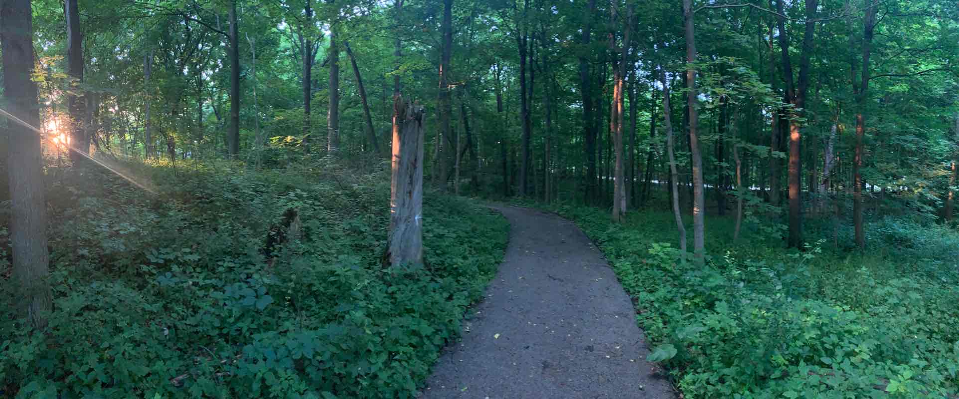 walking near me in Community Center Park in winter