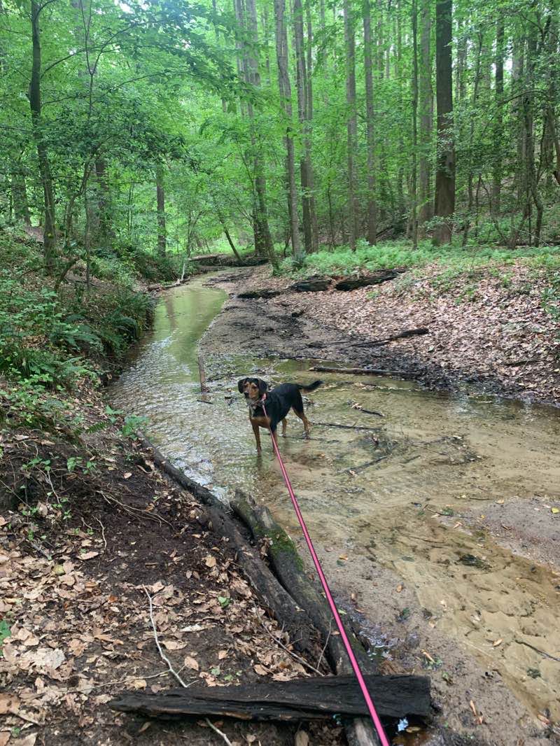 walking near me in Pole Green Park in winter