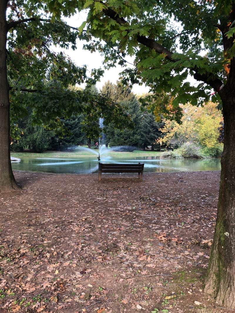 walking near me in Parco Aldo Moro in winter