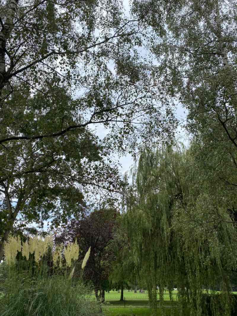 walking near me in Manor Park in winter