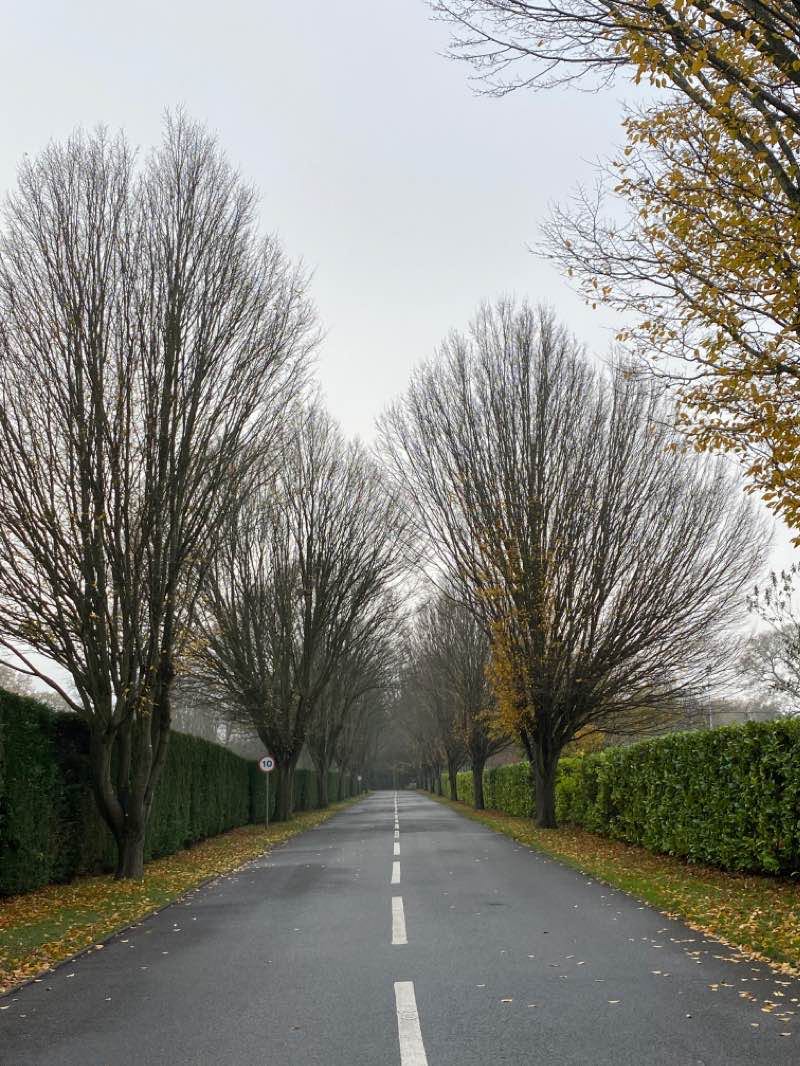 walking near me in Aldershot Park in winter