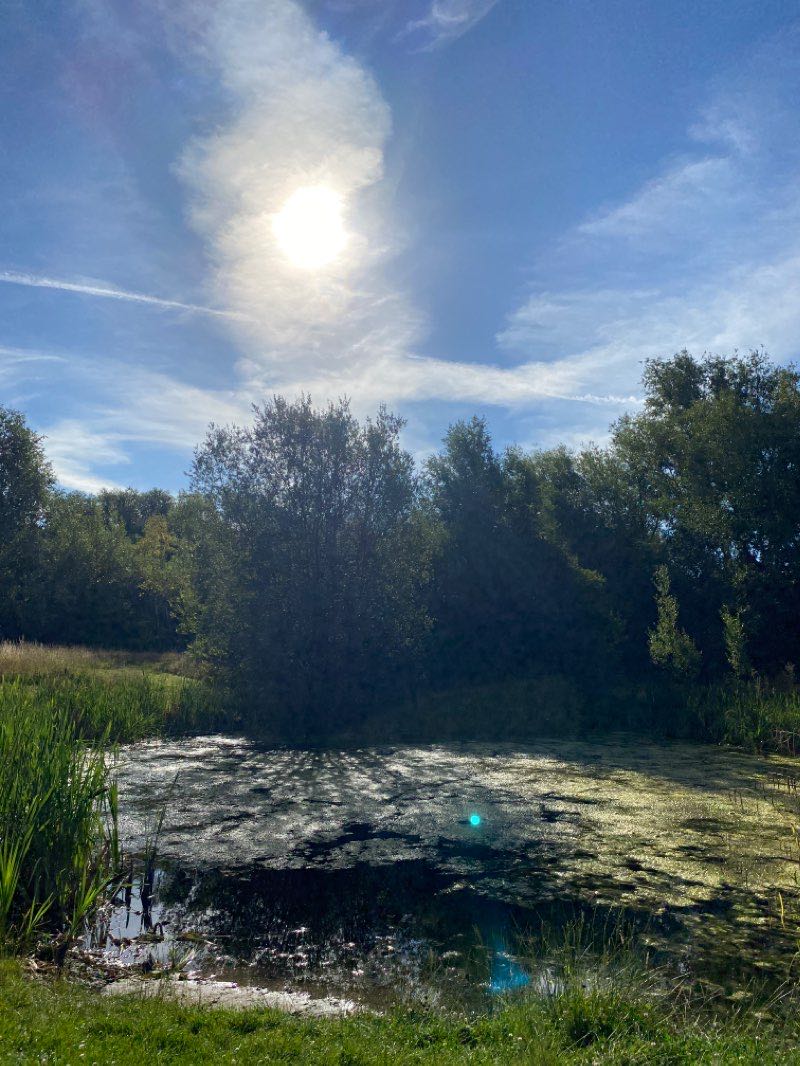 walking near me in Rowan Field in winter
