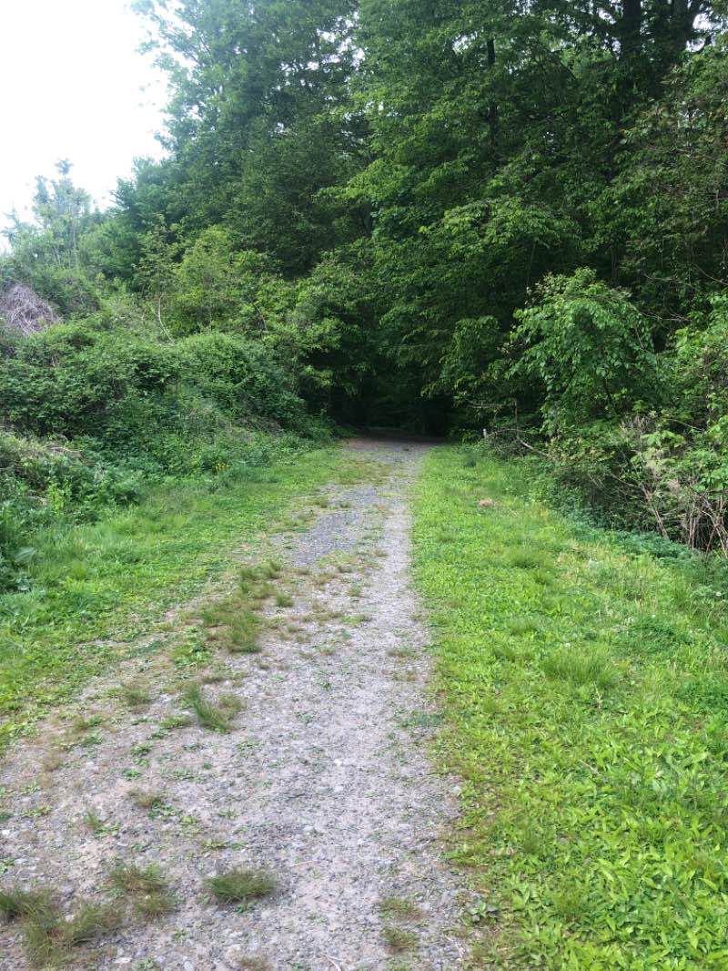 walking near me in Rumbrook Park East in winter