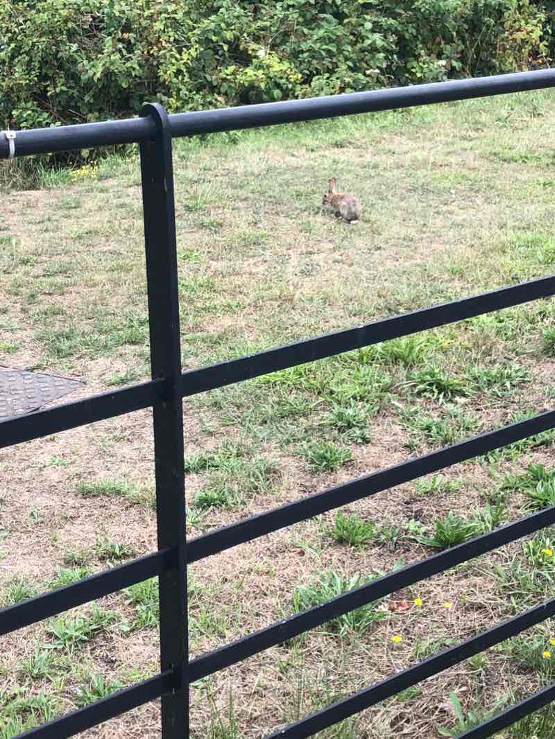 walking near me in Fishmore Park in winter