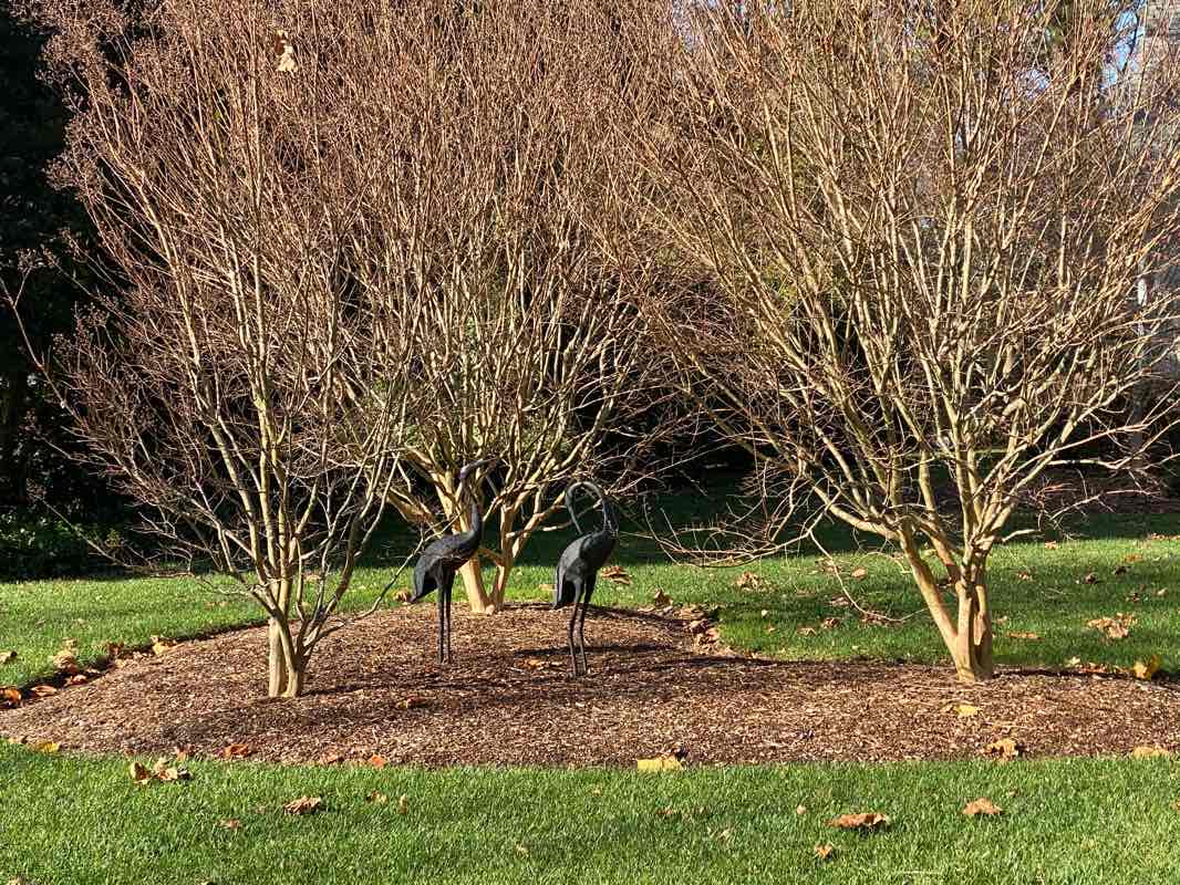 walking near me in Grove Park in winter