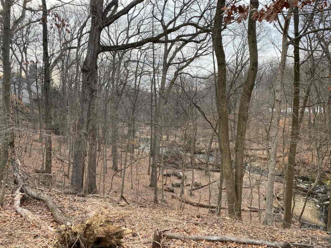 walking near me in Quincy Park in winter