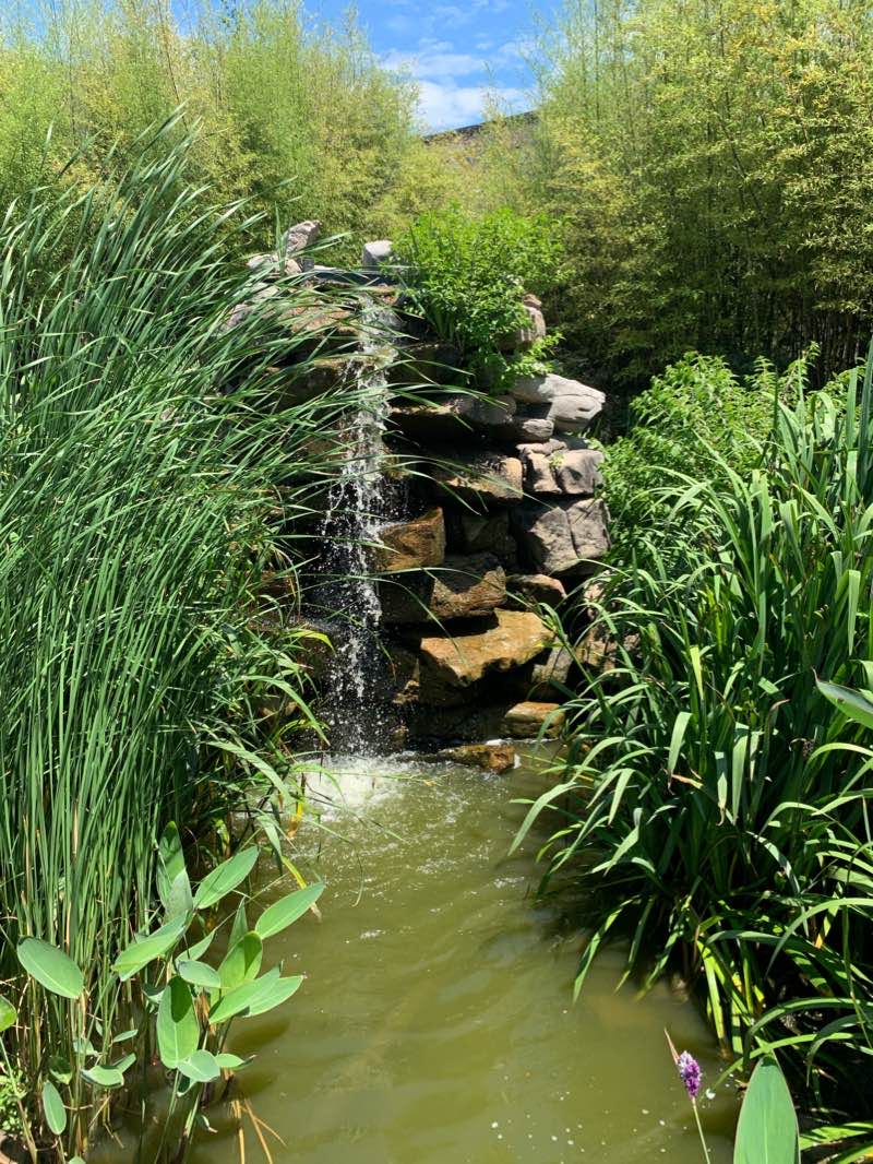 walking near me in TowneBank Fountain Park in winter