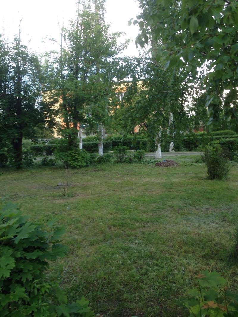 walking near me in Городской парк in winter