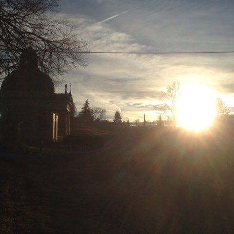 Sonia🦉🐶 post 1