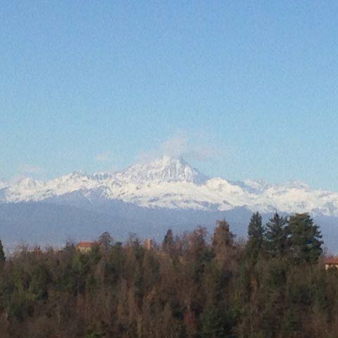 Sonia🦉🐶 post 2