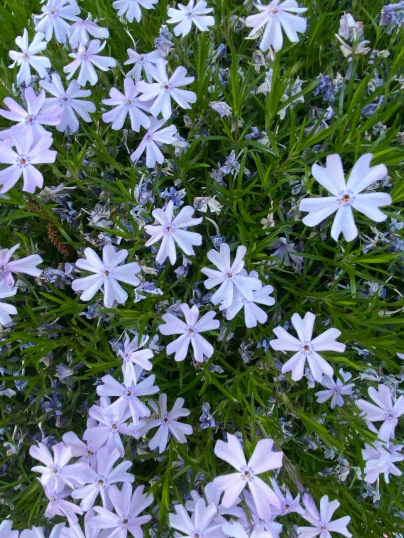 walking near me in Riverfront Park in winter