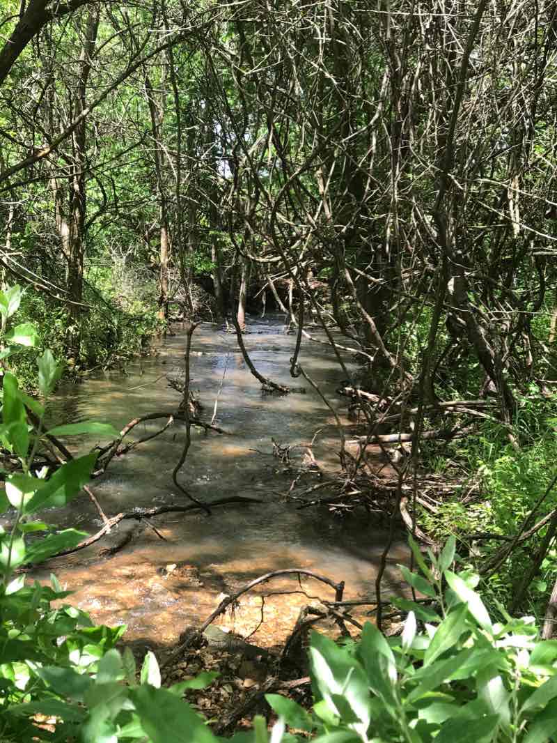 walking near me in Bois d'Arc Conservation Area in winter