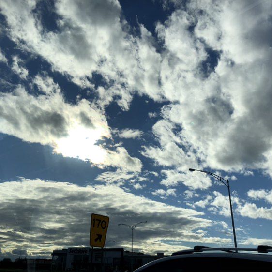 Aneesh🇨🇦 post 1