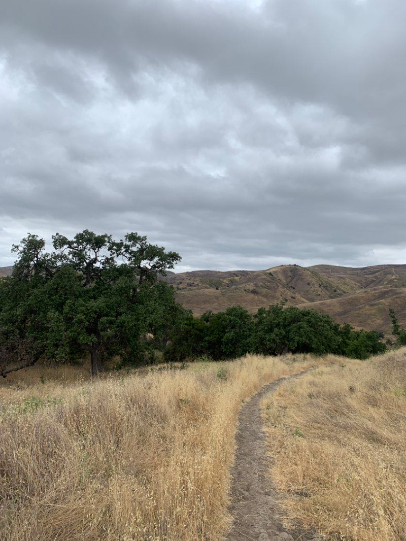 walking near me in Upper Las Virgenes Open Space Preserve in winter