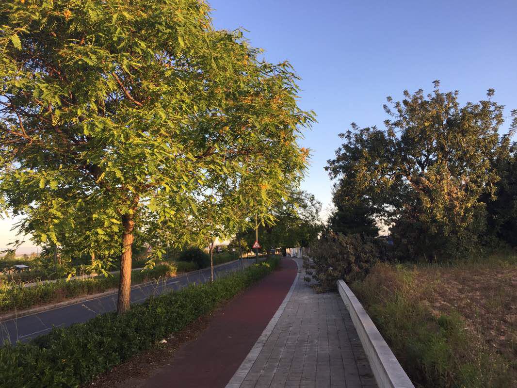 walking near me in Parc Hort de les Taules in winter