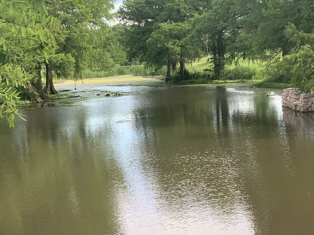 walking near me in Brandt Park in winter