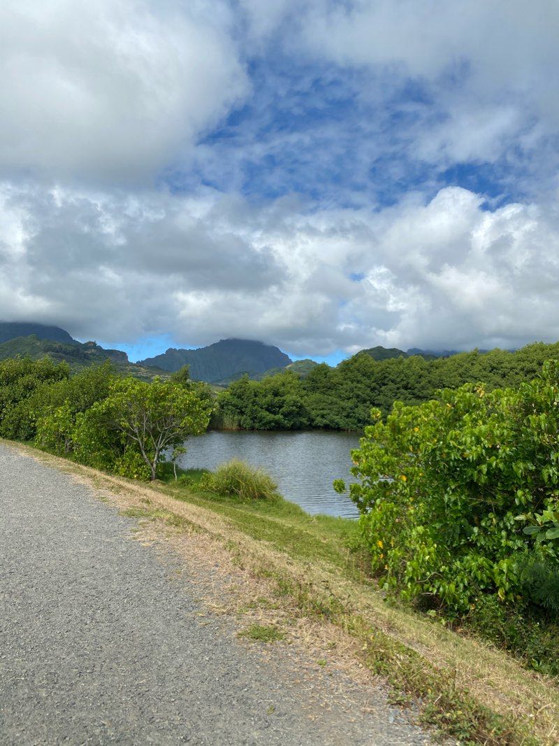 walking near me in Kawai Nui Neighborhood Park in winter