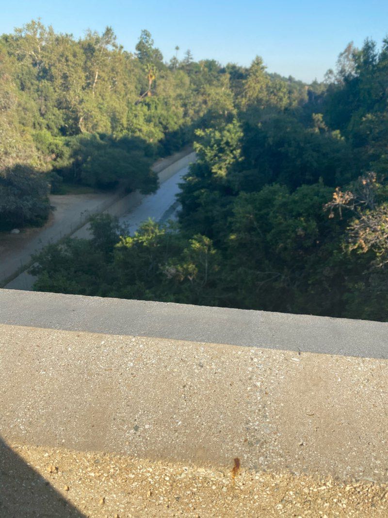 walking near me in Arroyo Park in winter