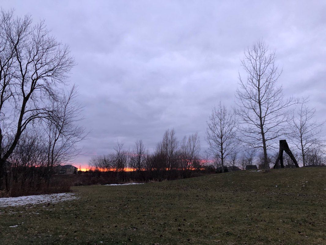 walking near me in Kenneth Hobbs Park in winter