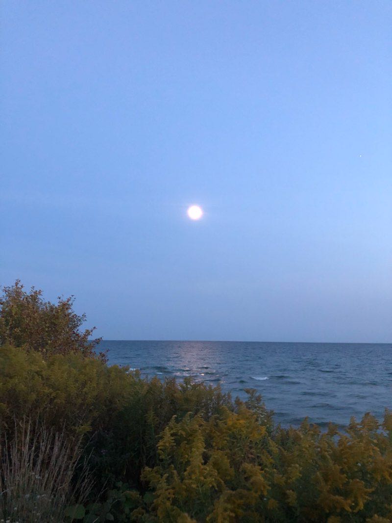 walking near me in Lakeside Park in winter