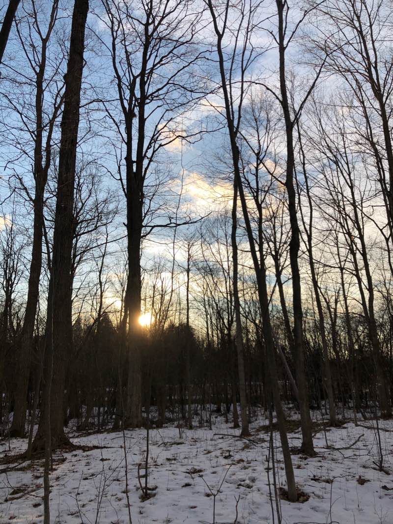 walking near me in Cullen Central Park in winter