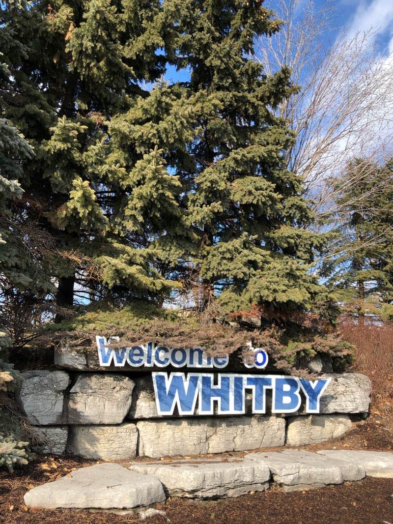 walking near me in Bradley Park in winter