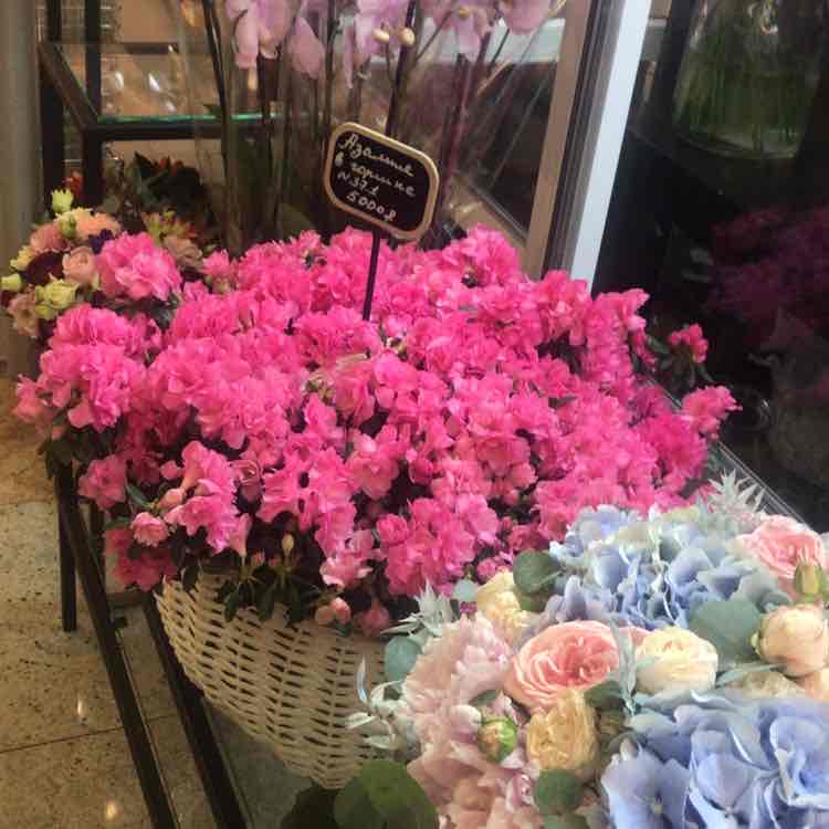 Людмила post 1