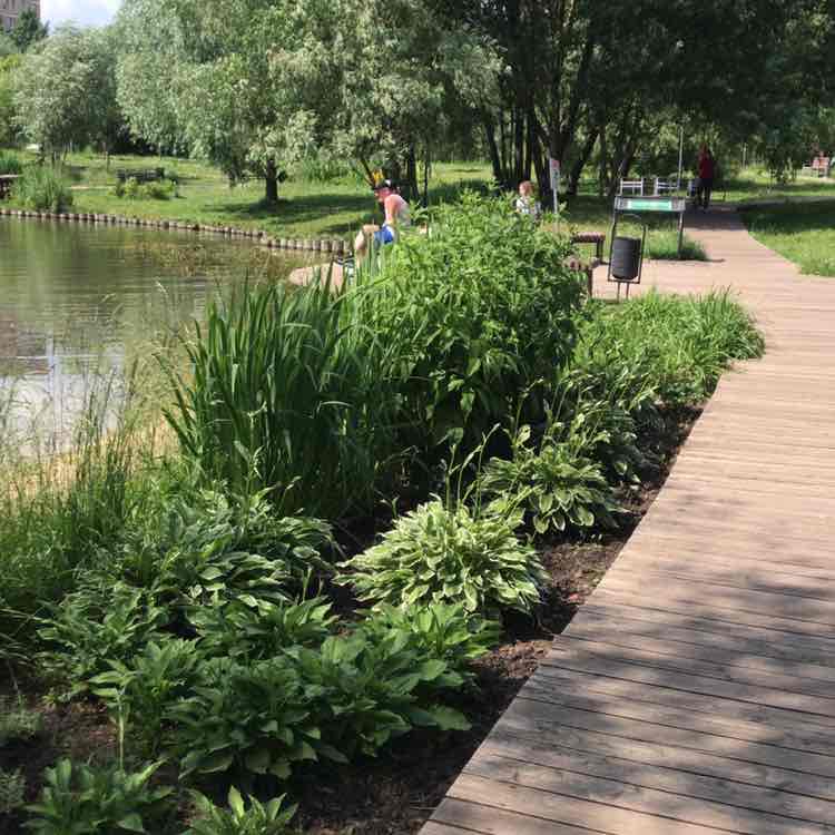 Людмила post 1