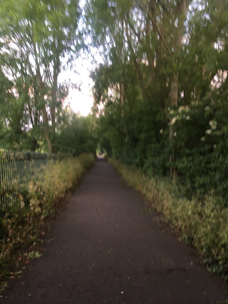 walking near me in Queen Elizabeth II Park in winter