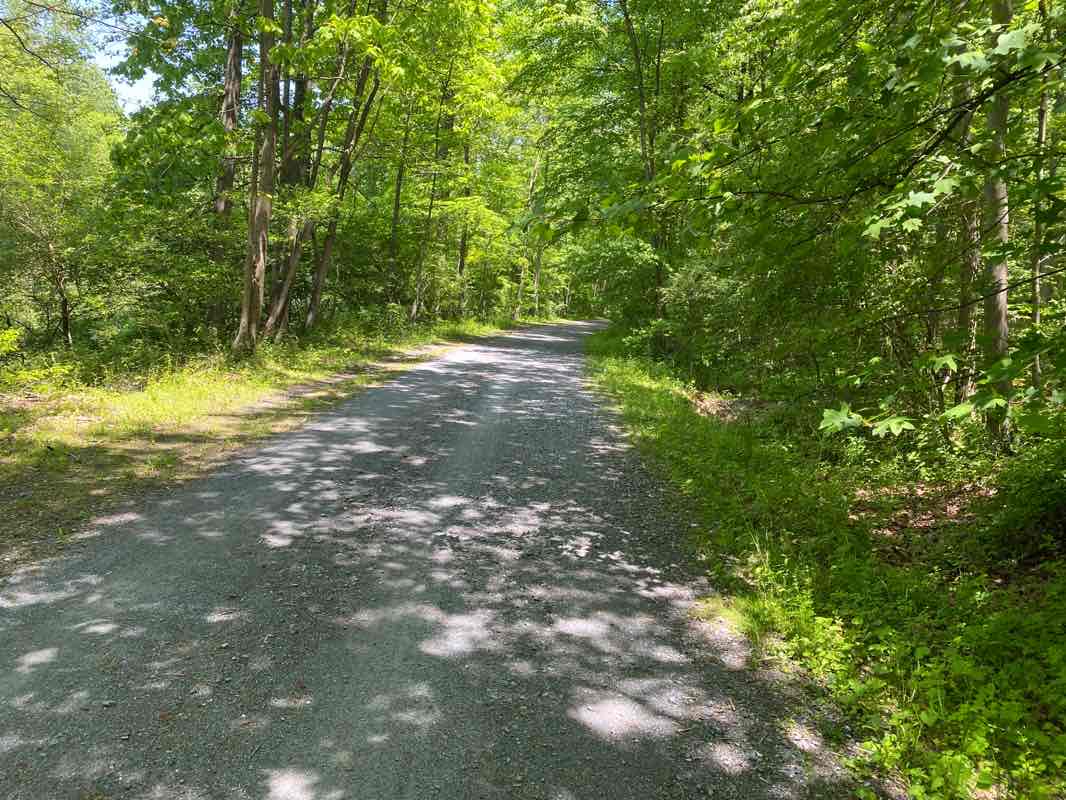 walking near me in State Game Lands Number 145 in winter