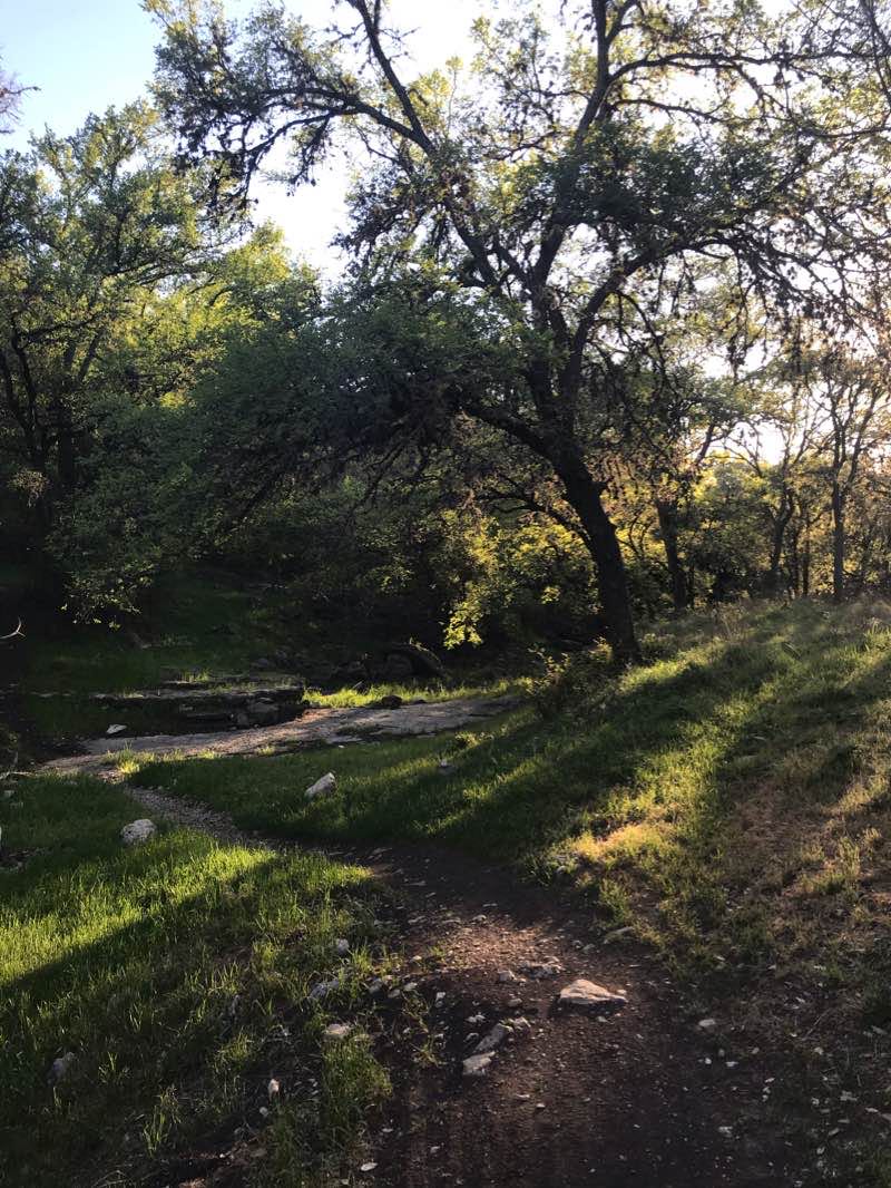 walking near me in Salado Creek Greenway in winter